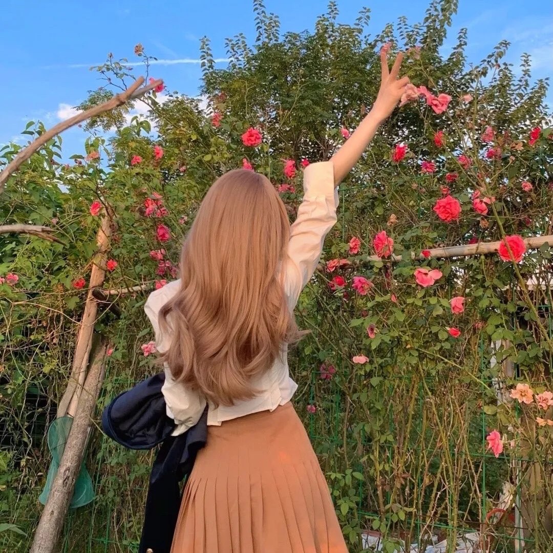 宋秘书又辞职了